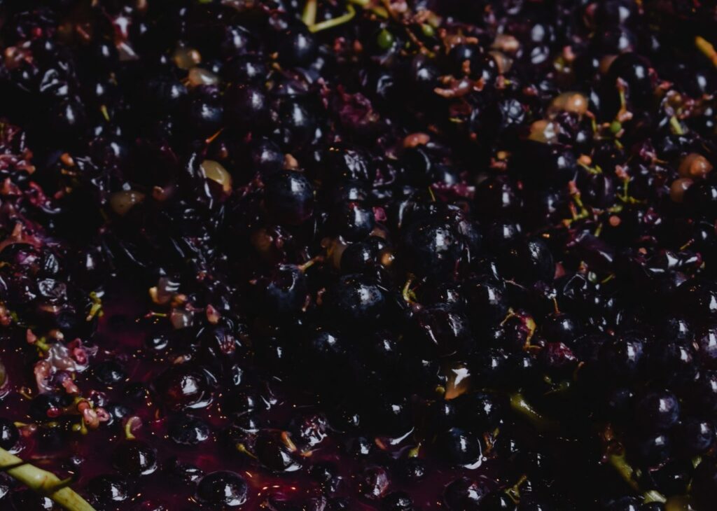 Wijn maken met druivensap